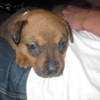 Photo de profil de Roxanne
