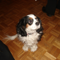 Photo de profil de Vicky