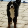 Photo de Snooffi
