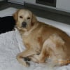 Photo de Patto
