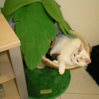 Photo de profil de Louna