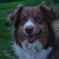Photo de profil de Tonic