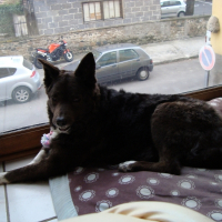Photo de profil de Pouka