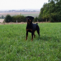Photo de profil de Xena