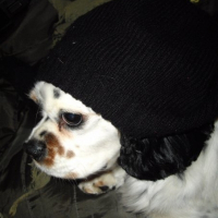 Photo de profil de Saschka