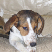 Photo de profil de Mushu