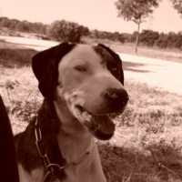 Photo de profil de Mystic