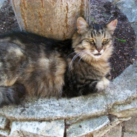 Photo de profil de Léo