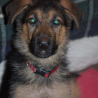 Photo de profil de Celio