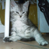 Photo de Eline
