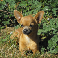 Photo de profil de Elliot