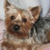 Photo de Vanille