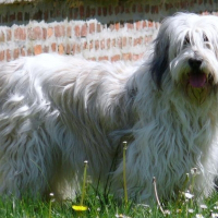 Photo de profil de Vanda 