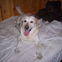 Photo de profil de Rusty