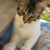 Photo de Zen