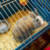Photo de Lilie