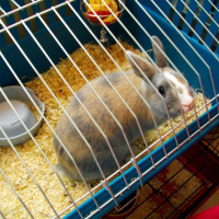 Photo de profil de Lilie