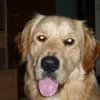 Photo de Azzaro