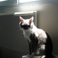 Photo de profil de Erzats