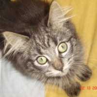 Photo de profil de Guess