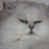Photo de Seven
