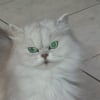 Photo de Calinou