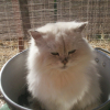 Photo de Bambo