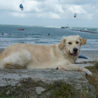 Photo de profil de Dora