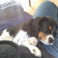 Photo de profil de Easy
