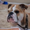 Photo de Eazy