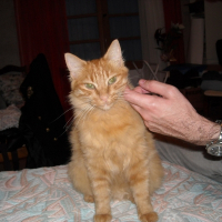 Photo de profil de Safran