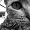 Photo de Mia