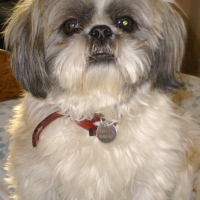 Photo de profil de Twisty