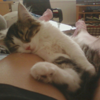 Photo de profil de Micky