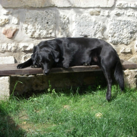 Photo de profil de Bahia