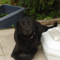 Photo de profil de Vicky