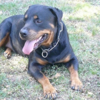 Photo de profil de Anka