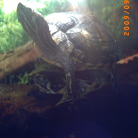 Photo de profil de Boulette