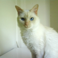 Photo de profil de Nikita