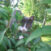 Photo de Kira