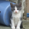 Photo de éliotte