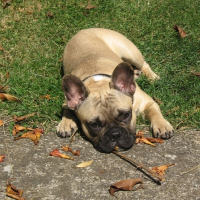 Photo de profil de Eliott