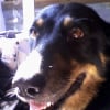 Photo de Salsa