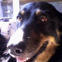 Photo de profil de Salsa