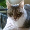 Photo de Whisky