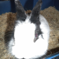 Photo de profil de Titeuf