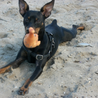 Photo de profil de Bobbi