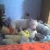 Photo de profil de Babsy