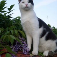 Photo de profil de Kiki