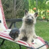 Photo de Dolly